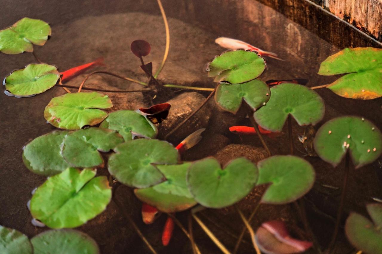 Whispering Mountains Boutique Hotel Trương Gia Giới Ngoại thất bức ảnh