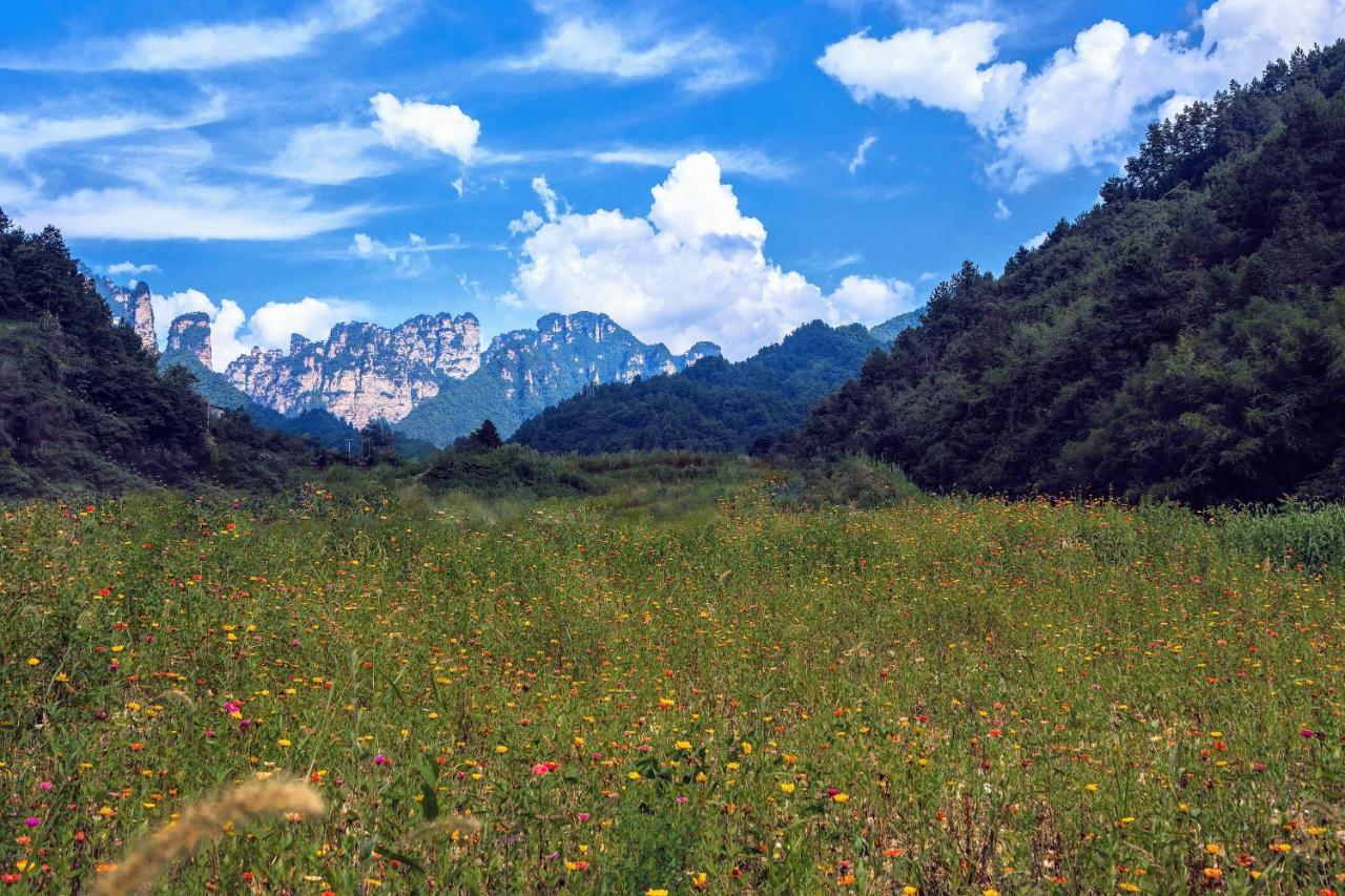 Whispering Mountains Boutique Hotel Trương Gia Giới Ngoại thất bức ảnh